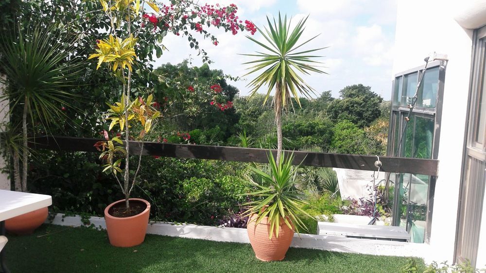 Casa La Selva Daire Cancun Dış mekan fotoğraf